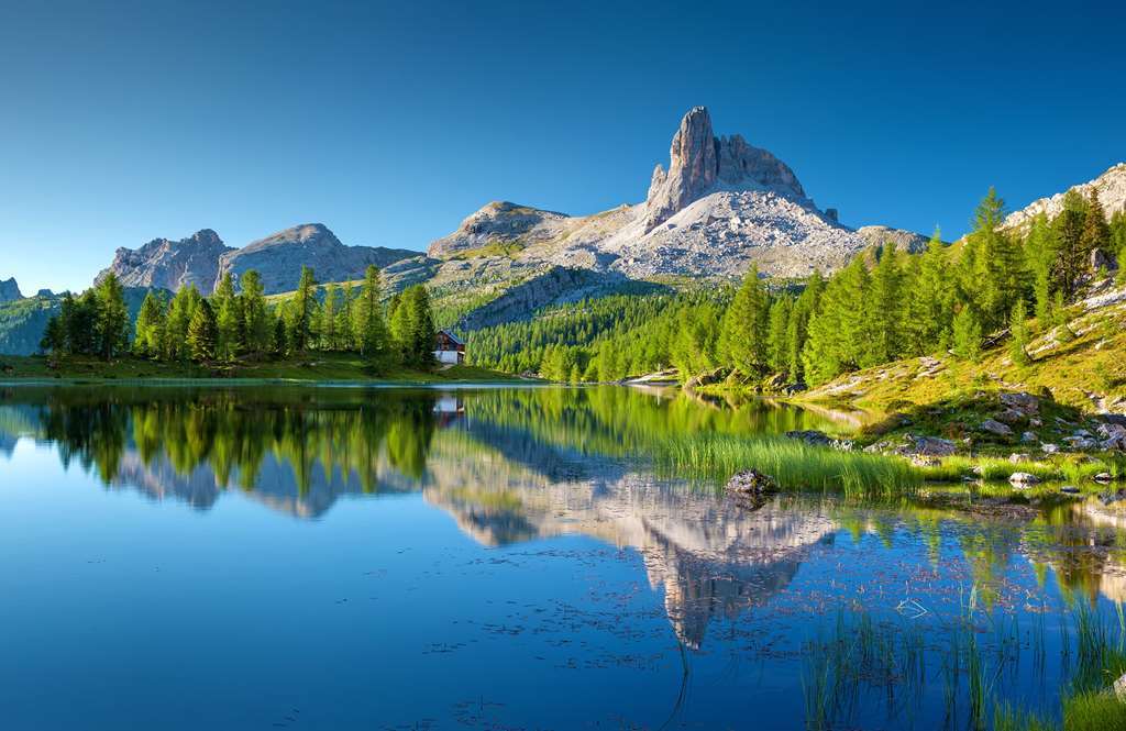 Mirabell Alpine Garden Resort & Spa Siusi Exterior photo